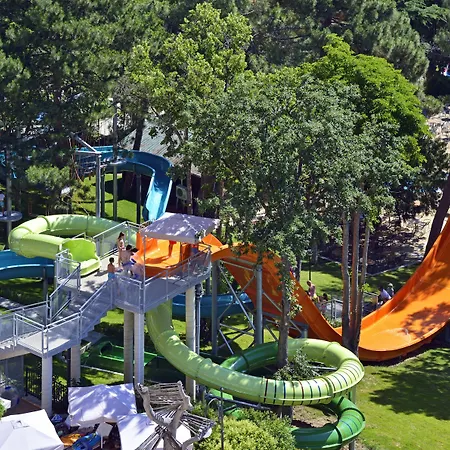 Melia Grand Hermitage 5* Золотые Пески